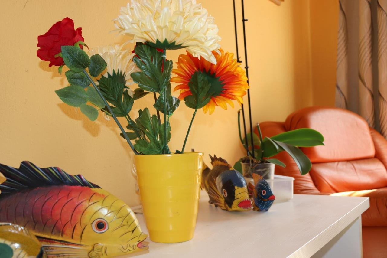דירות Casa Andreea Vicino Al Centro Di Olbia Iun R5904 מראה חיצוני תמונה